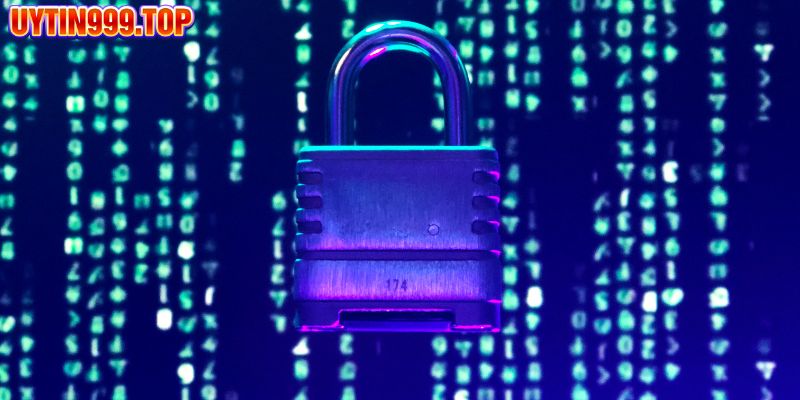 Cách thức sử dụng trong chính sách mật UYTIN999